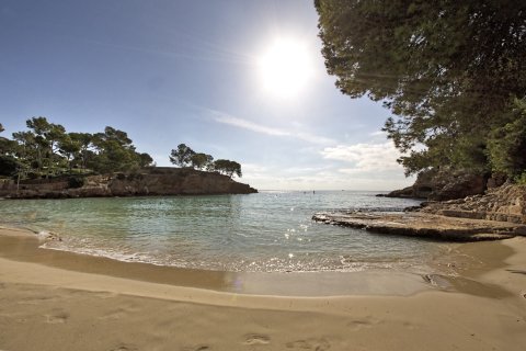 Wohnung zur Miete Portals Nous, Mallorca, Spanien 2 Schlafzimmer, 100 m2 Nr. 137494 - Foto 10