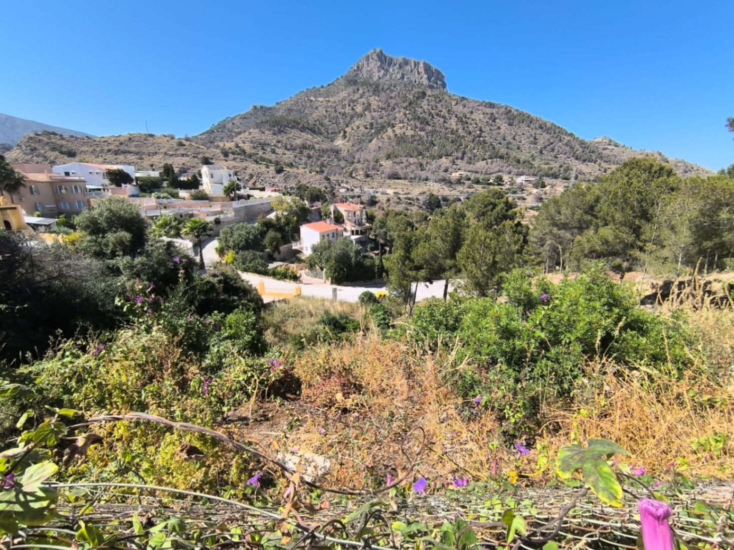 Land plot à Calpe, Alicante, Espagne 1062 m2 No. 183515