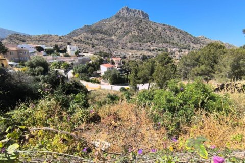 Land plot à vendre à Calpe, Alicante, Espagne, 1062 m2 No. 183515 - photo 3
