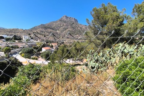Land plot in Calpe, Alicante, Spain 1186 sq.m. No. 183514