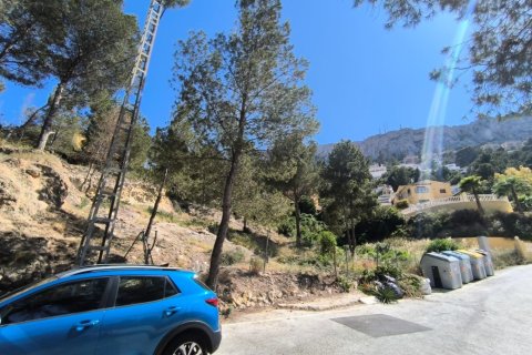 Land plot à vendre à Calpe, Alicante, Espagne, 1186 m2 No. 183514 - photo 3