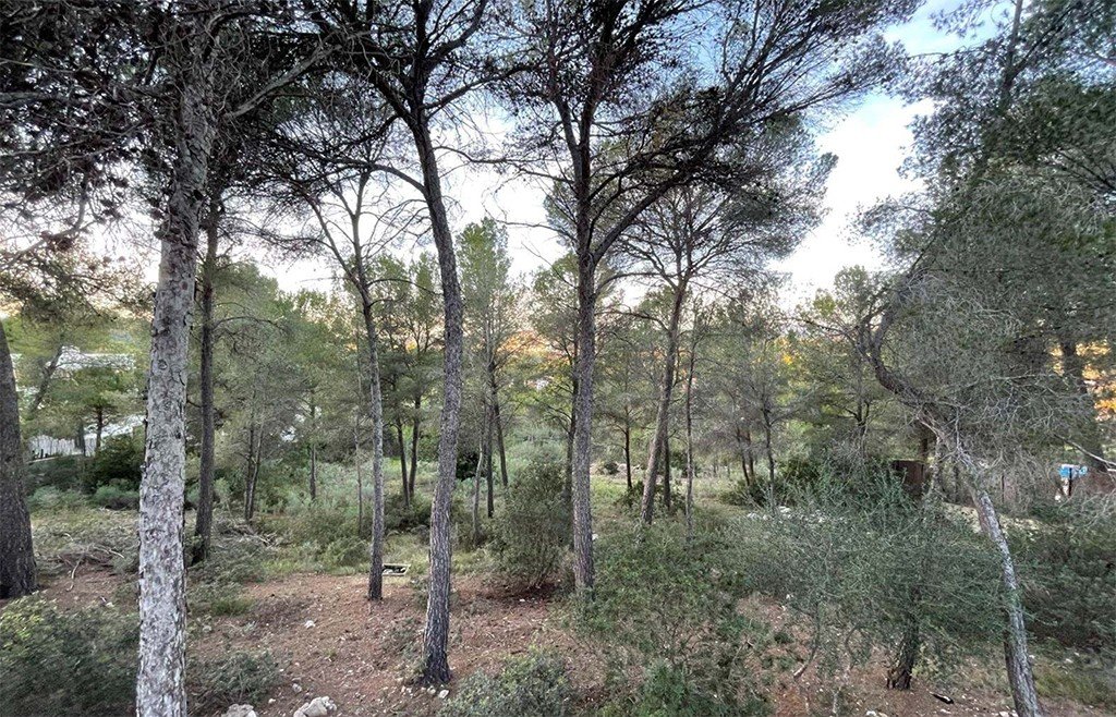 Terreno a Santa Ponsa, Mallorca, Spagna N° 148161