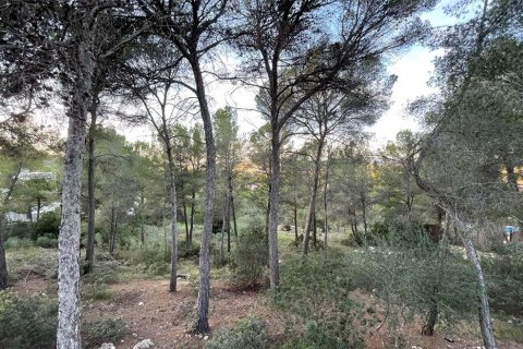 Tontti myytävänä Santa Ponsa, Mallorca, Espanja ,  No. 148161 - kuva 5