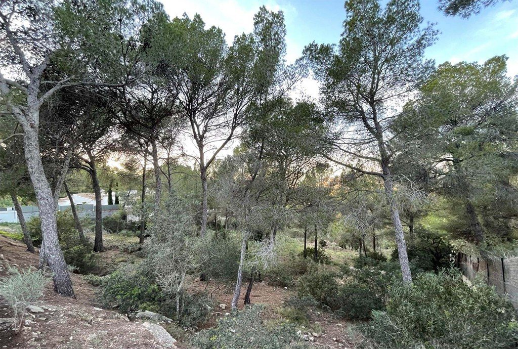 Terreno a Santa Ponsa, Mallorca, Spagna N° 148161