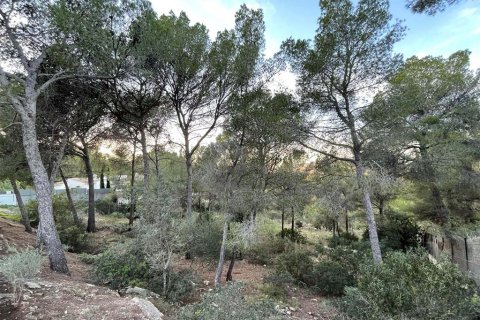 Tontti myytävänä Santa Ponsa, Mallorca, Espanja ,  No. 148161 - kuva 6