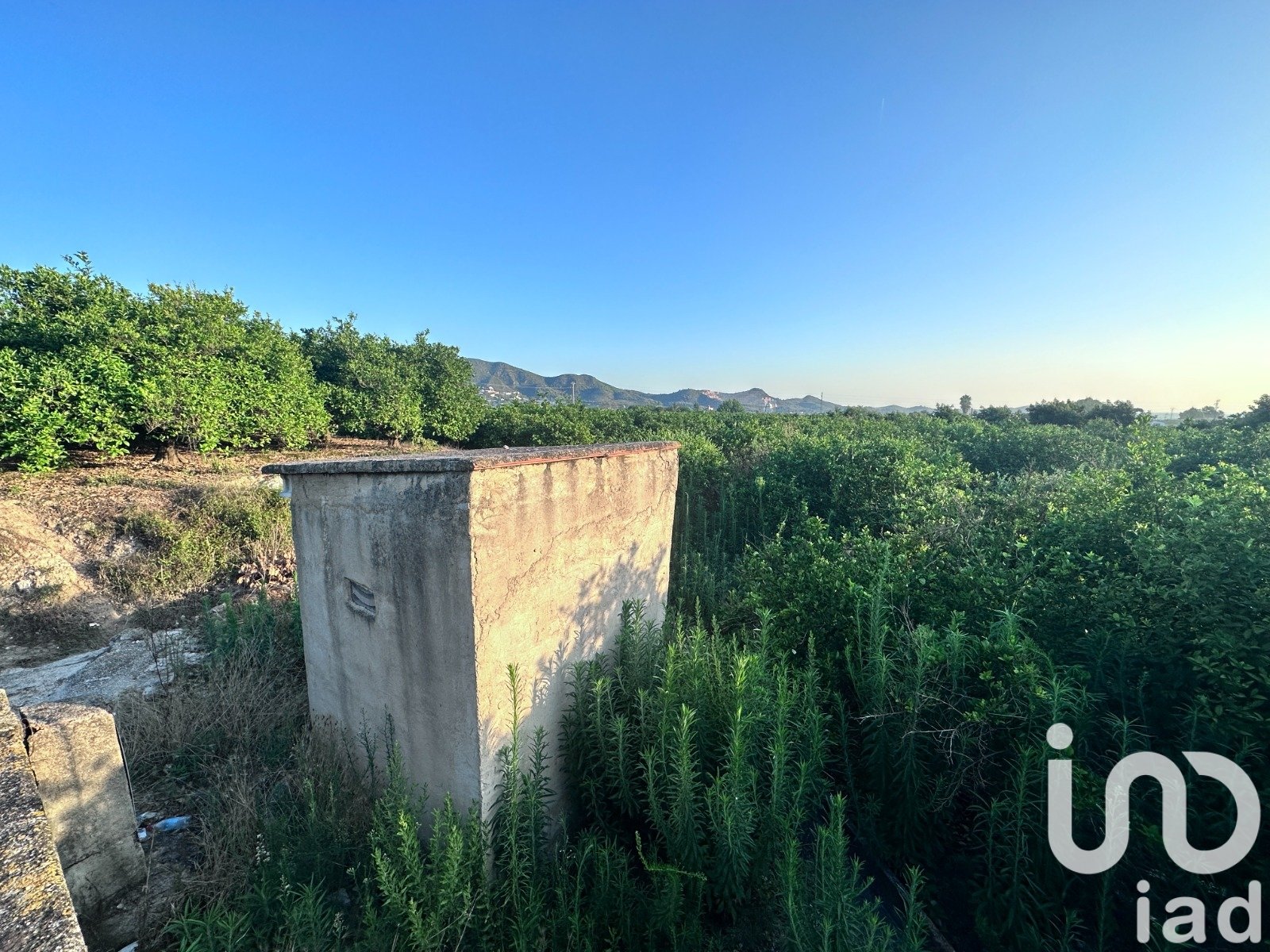 Commercial property in Pego, Alicante, Spain No. 185714