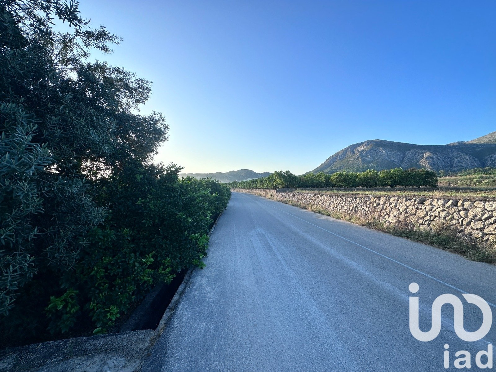 Commercial property in Pego, Alicante, Spain No. 185714