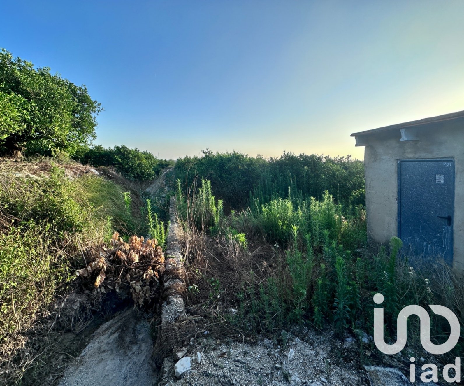 Commercial property in Pego, Alicante, Spain No. 185714