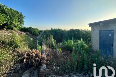 Propiedad comercial en venta en Pego, Alicante, España No. 185714 - foto 4