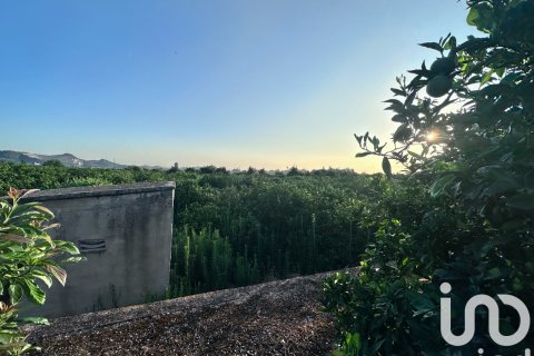 Gewerbeimmobilien in Pego, Alicante, Spanien Nr. 185714