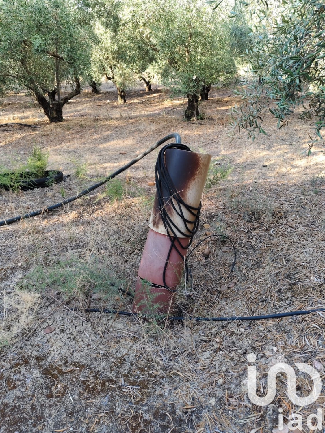 Zemes gabals Ecija, Seville, Spānijā 4895 m2 Nr. 185710