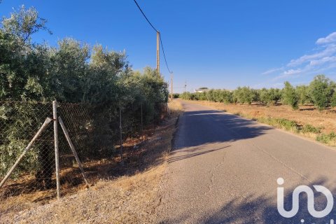 Продажа земельного участка в Экия, Севилья, Испания 4895м2 №185710 - фото 7
