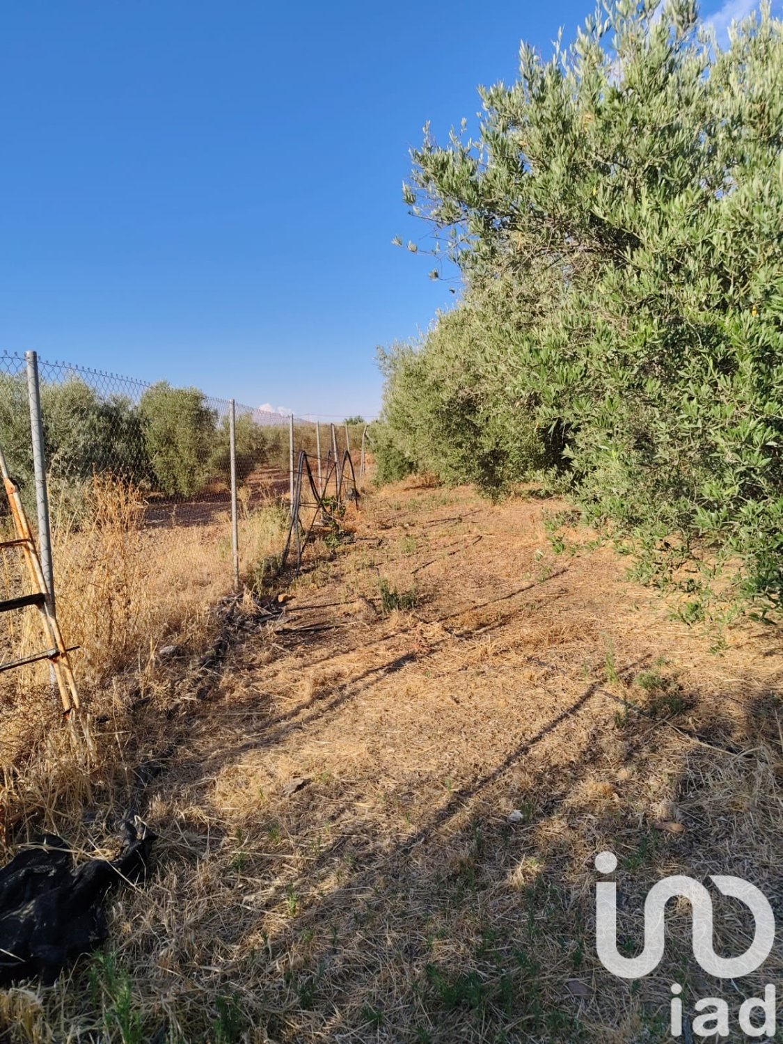 Zemes gabals Ecija, Seville, Spānijā 4895 m2 Nr. 185710