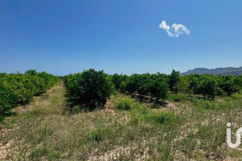 Terreno in vendita a Pego, Alicante, Spagna 12671 mq. N° 185713 - foto 6