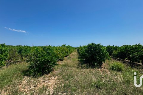 Terreno in vendita a Pego, Alicante, Spagna 12671 mq. N° 185713 - foto 8