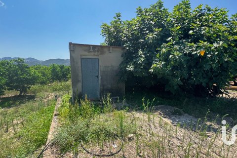 Terreno in vendita a Pego, Alicante, Spagna 12671 mq. N° 185713 - foto 2