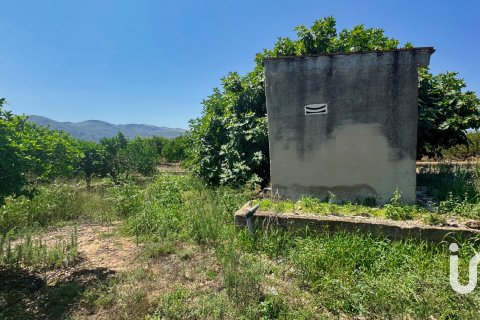 Terreno in vendita a Pego, Alicante, Spagna 12671 mq. N° 185713 - foto 3
