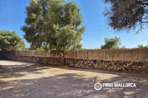 Finca à louer à Llucmajor, Mallorca, Espagne, 2 chambres, 78 m2 No. 177320 - photo 24