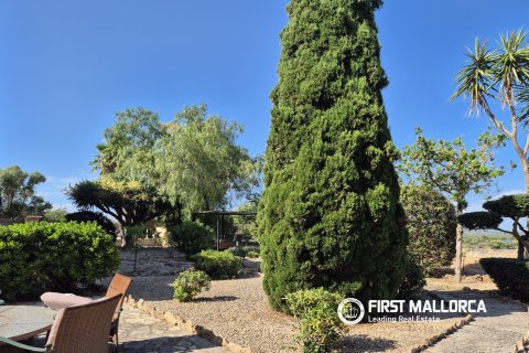 Finca à louer à Llucmajor, Mallorca, Espagne, 2 chambres, 78 m2 No. 177320 - photo 16