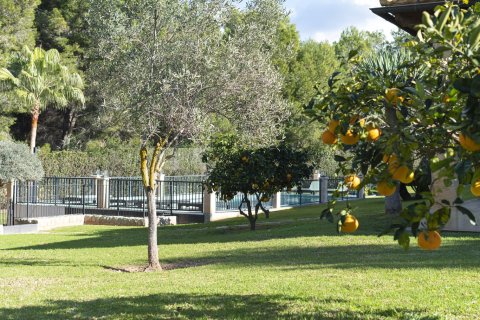 Villa zur Miete in Santa Ponsa, Mallorca, Spanien 5 Schlafzimmer, 694 m2 Nr. 177315 - Foto 27