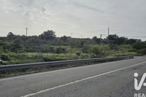 Terreno a Montehermoso, Caceres, Spagna 13441 mq. N° 184854