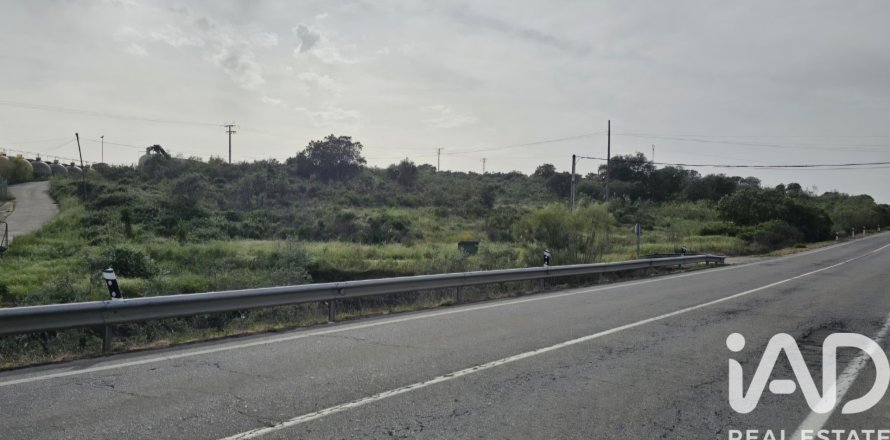 Land plot in Montehermoso, Caceres, Spain 13441 sq.m. No. 184854