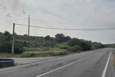 Land plot for sale in Montehermoso, Caceres, Spain 13441 sq.m. No. 184854 - photo 2