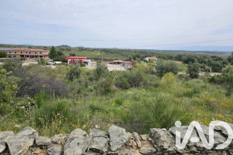 Land plot for sale in Montehermoso, Caceres, Spain 13441 sq.m. No. 184854 - photo 5