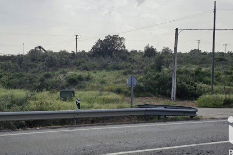 Land plot for sale in Montehermoso, Caceres, Spain 13441 sq.m. No. 184854 - photo 3