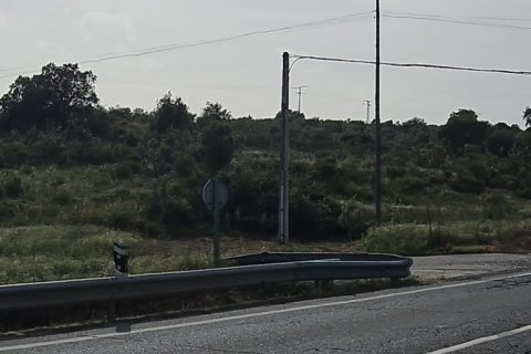 Land plot for sale in Montehermoso, Caceres, Spain 13441 sq.m. No. 184854 - photo 6