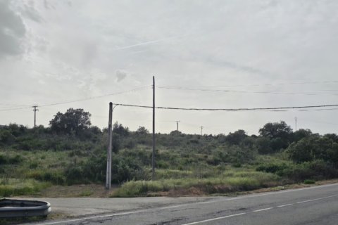 Land plot for sale in Montehermoso, Caceres, Spain 13441 sq.m. No. 184854 - photo 4
