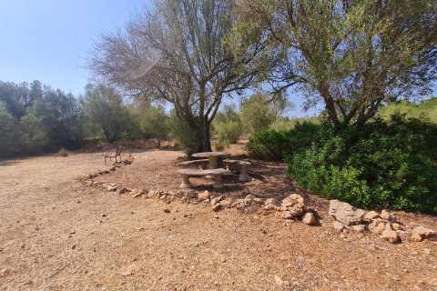 Finca en alquiler en Algaida, Mallorca, España 5 dormitorios, 374 m2 No. 191749 - foto 20