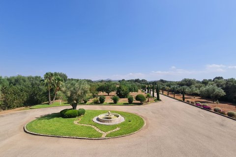 Finca en alquiler en Algaida, Mallorca, España 5 dormitorios, 374 m2 No. 191749 - foto 3