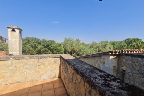 Finca en alquiler en Algaida, Mallorca, España 5 dormitorios, 374 m2 No. 191749 - foto 19