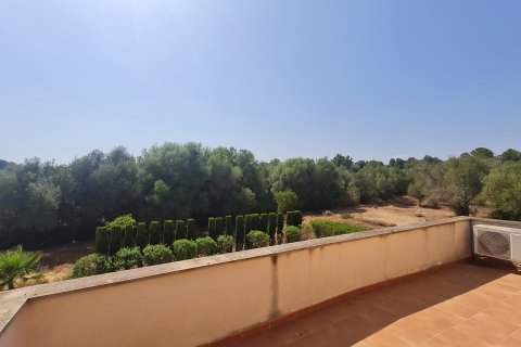 Finca en alquiler en Algaida, Mallorca, España 5 dormitorios, 374 m2 No. 191749 - foto 11