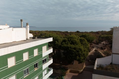 Apartament Guardamar del Segura, Alicante, Hiszpania 1 sypialnia, 57 mkw. nr 133836 – zdjęcie 18
