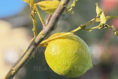 Villa in vendita a Calpe, Alicante, Spagna 2 camere da letto, 200 mq. N° 157746 - foto 22