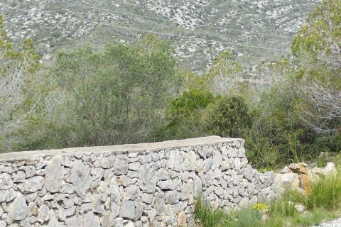 Land zum Verkauf in Olivella, Barcelona, Spanien Nr. 191565 - Foto 2