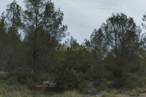 Land zum Verkauf in Olivella, Barcelona, Spanien Nr. 191565 - Foto 19