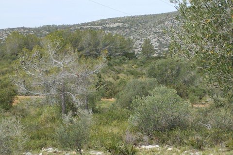 Land zum Verkauf in Olivella, Barcelona, Spanien Nr. 191565 - Foto 6