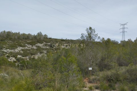 Land zum Verkauf in Olivella, Barcelona, Spanien Nr. 191565 - Foto 21
