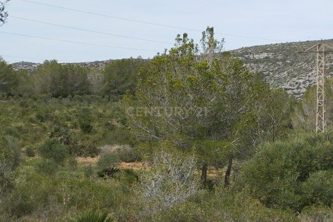 Land zum Verkauf in Olivella, Barcelona, Spanien Nr. 191565 - Foto 16
