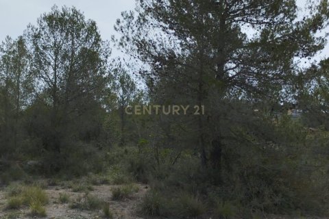 Land zum Verkauf in Olivella, Barcelona, Spanien Nr. 191565 - Foto 23