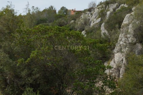 Land zum Verkauf in Olivella, Barcelona, Spanien Nr. 191565 - Foto 14