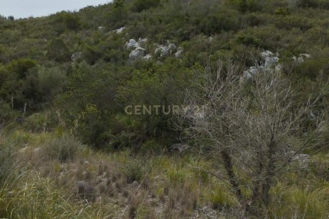 Land zum Verkauf in Olivella, Barcelona, Spanien Nr. 191565 - Foto 11