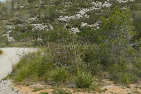 Land zum Verkauf in Olivella, Barcelona, Spanien Nr. 191565 - Foto 15