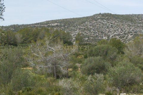 Land zum Verkauf in Olivella, Barcelona, Spanien Nr. 191565 - Foto 17