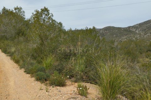 Land zum Verkauf in Olivella, Barcelona, Spanien Nr. 191565 - Foto 5