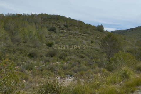 Land zum Verkauf in Olivella, Barcelona, Spanien Nr. 191565 - Foto 7