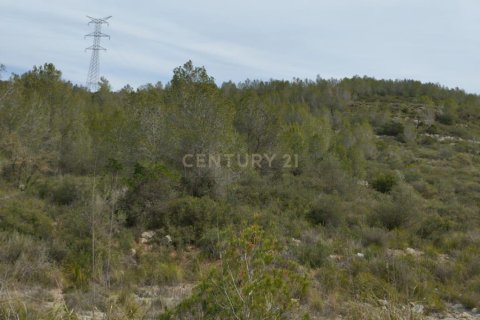 Land zum Verkauf in Olivella, Barcelona, Spanien Nr. 191565 - Foto 22